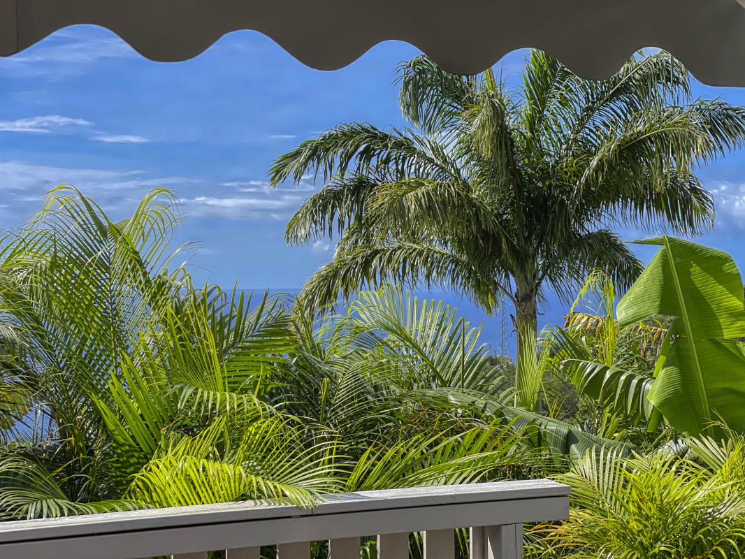 Location Villa Pointe Noire Guadeloupe-vue-23